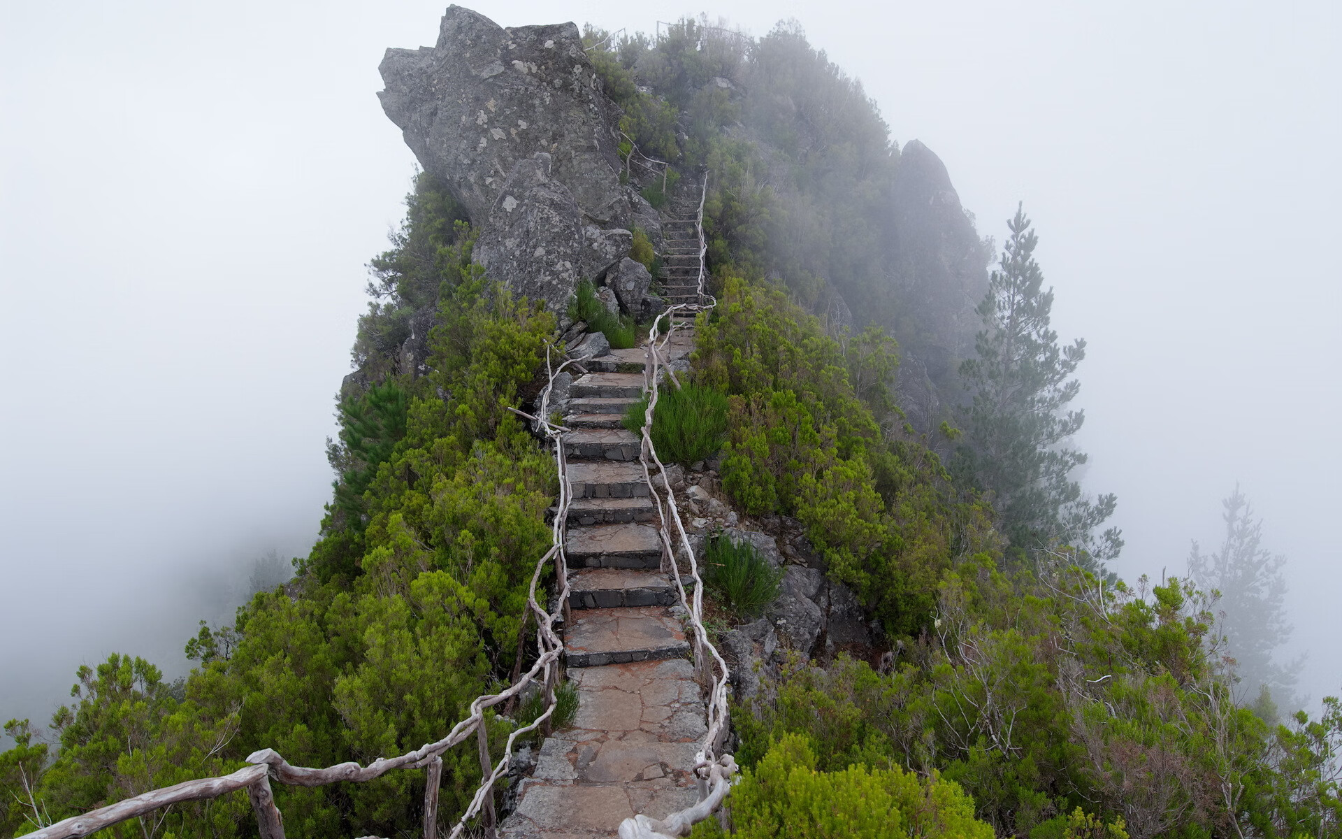 世界登山青年导师生态课堂示范校第10批名单公布，世界登山家